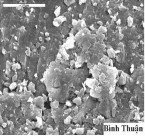 Hình 2 8 Ảnh SEM của bentonit Lâm Đồng và Bình Thuận trước khi hữu cơ hóa 6