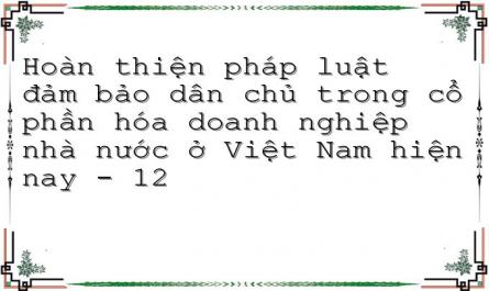 Hoàn thiện pháp luật đảm bảo dân chủ trong cổ phần hóa doanh nghiệp nhà nước ở Việt Nam hiện nay - 12