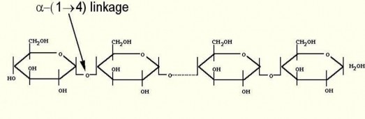 Hình 1 12 Caáu truùc amylose Thaønh phaàn caáu truùc cuûa amylopectin 12