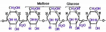 Caùc nhoùm hydroxyl trong tinh boät coù theå tieán haønh ete hoùa este hoùa Moät soá 3