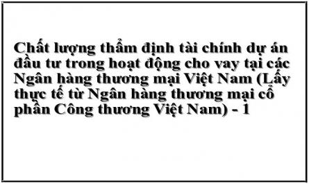 Chất lượng thẩm định tài chính dự án đầu tư trong hoạt động cho vay tại các Ngân hàng thương mại Việt Nam (Lấy thực tế từ Ngân hàng thương mại cổ phần Công thương Việt Nam) - 1