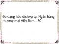 Đa dạng hóa dịch vụ tại Ngân hàng thương mại Việt Nam - 30