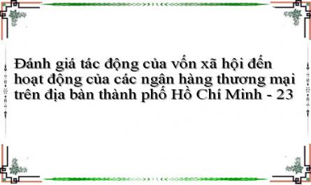 Đánh giá tác động của vốn xã hội đến hoạt động của các ngân hàng thương mại trên địa bàn thành phố Hồ Chí Minh - 23