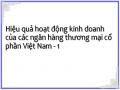 Hiệu quả hoạt động kinh doanh của các ngân hàng thương mại cổ phần Việt Nam - 1
