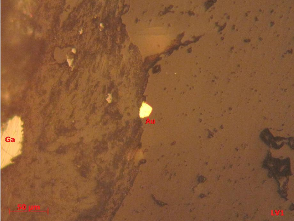 Ảnh 1 2 Mẫu LV1 1 tầng lò 1 TQ BĐMQ Vàng tự sinh hạt tha hình xâm tán rải 1