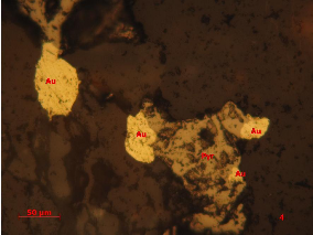 Ảnh 1 10 BG 1 1 lò 1 TQ QTZ3 Vàng tự sinh Au xâm tán cùng pyrotin II Pyr trong 10