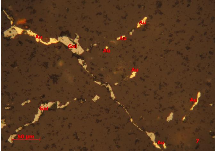 Ảnh 1 14 BG 7 lò 1 TQ QTZ3 Vàng tự sinh Au hạt kéo dài xâm tán theo vi khe nứt 13