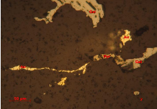 Ảnh 1 14 BG 7 lò 1 TQ QTZ3 Vàng tự sinh Au hạt kéo dài xâm tán theo vi khe nứt 14