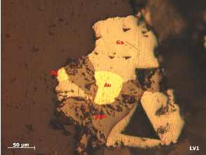 Ảnh 1 2 Mẫu LV1 1 tầng lò 1 TQ BĐMQ Vàng tự sinh hạt tha hình xâm tán rải 2