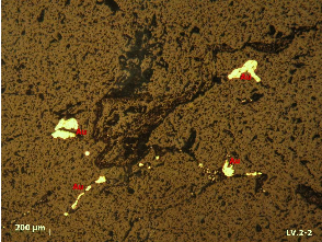 Ảnh 1 4 Mẫu LV2 2 1 tầng lò 2 TQ BĐMQ Vàng tự sinh hạt tha hình xâm tán theo 3