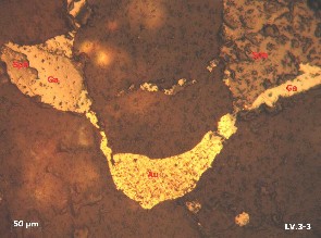 Ảnh1 6 MẫuLV3 3 1 tầnglò3 TQBĐMQ Vàngtự sinh hạtthahìnhxâmtántrongthạchanh 4