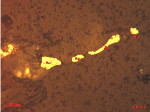 Ảnh 1 5 Mẫu LV2 2 2 tầng lò 2 TQ BĐMQ Vàng tự sinh hạt kéo dài nấp đầy theo 5