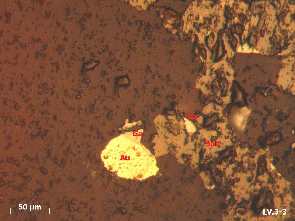 Ảnh 1 7 Mẫu LV3 3 2 tầng lò 3 TQ BĐMQ Vàng tự sinh hạt đẳng thước xâm tán 6