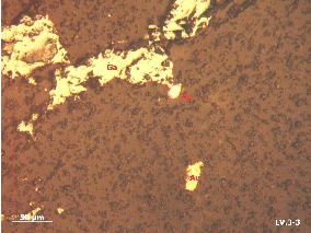 Ảnh 1 8 Mẫu LV3 3 3 tầng lò 3 TQ BĐMQ Vàng tự sinh hạt tha hình xâm tán cùng 7