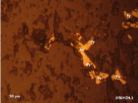 Ảnh 1 8 Mẫu LV3 3 3 tầng lò 3 TQ BĐMQ Vàng tự sinh hạt tha hình xâm tán cùng 8