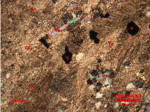 Ảnh 1 26 LV1 Đá hoa bị thạch anh hoá xâm tán quặng Nikon độ phóng đại 10