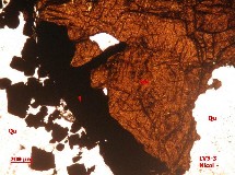 Ảnh 1 28 LV1 3 Đá phiến thạch anh biotit bị thạch anh hoá chứa quặng Nikon 11