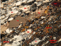 Ảnh 1 30 DSDH252 Đá phiến thạch anh actinolit bị calcit hoá chlorit hoá Nikon 12