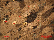 Ảnh 1 27 DSDH213 8 Đá hoa bị thạch anh hoá Nikon độ phóng đại 50x1 7 Ảnh 13