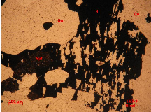 Ảnh 1 29 LV4 3 Đá phiến thạch anh biotit bị thạch anh hoá chứa quặng Nikon 14