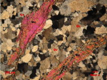 Ảnh 1 31 DSDH241 10 Đá phiến thạch anh actinolit bị calcit hoá chlorit hoá Nikon 15