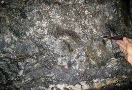 Ảnh 1 19 Quặng thạch anh sulfua vàng dạng mạng mạch TQ BĐMQ Nguồn Dr Brett 3