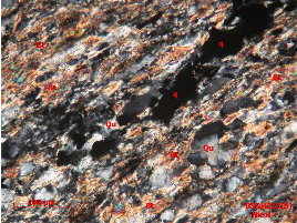 Ảnh 1 22 DSDH213 8 đá phiến thạch anh biotit bị thạch anh hoá chứa quặng 6