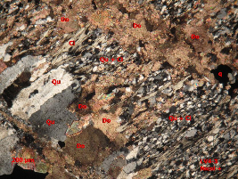 Ảnh 1 22 DSDH213 8 đá phiến thạch anh biotit bị thạch anh hoá chứa quặng 7