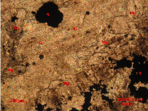 Ảnh 1 24 DSDH251 1 đá dolomit bị talc hoá magnesit hoá xâm tán quặng Nikon độ 8