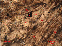 Ảnh 1 24 DSDH251 1 đá dolomit bị talc hoá magnesit hoá xâm tán quặng Nikon độ 9