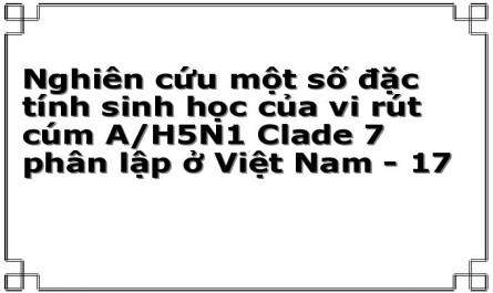 Nghiên cứu một số đặc tính sinh học của vi rút cúm A/H5N1 Clade 7 phân lập ở Việt Nam - 17