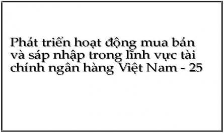 Phát triển hoạt động mua bán và sáp nhập trong lĩnh vực tài chính ngân hàng Việt Nam - 25