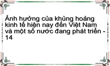 Ảnh hưởng của khủng hoảng kinh tế hiện nay đến Việt Nam và một số nước đang phát triển - 14