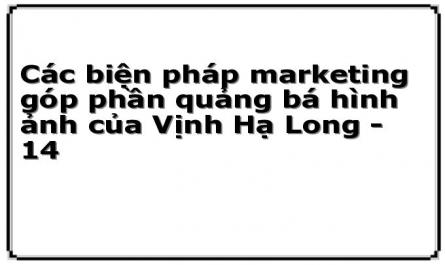 Các biện pháp marketing góp phần quảng bá hình ảnh của Vịnh Hạ Long - 14