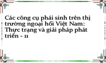 Các công cụ phái sinh trên thị trường ngoại hối Việt Nam: Thực trạng và giải pháp phát triển - 11