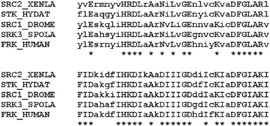 Hình 1 Ví dụ về k mer 6 Hình 1 thể hiện một ví dụ của K mer với K 3 ở 1