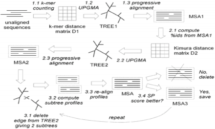 Hình 2 Các bước thực hiện của MUSCLE 6 Phần 1 draft progessive Mục tiêu 2