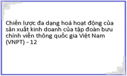 Chiến lược đa dạng hoá hoạt động của sản xuất kinh doanh của tập đoàn bưu chính viễn thông quốc gia Việt Nam (VNPT) - 12