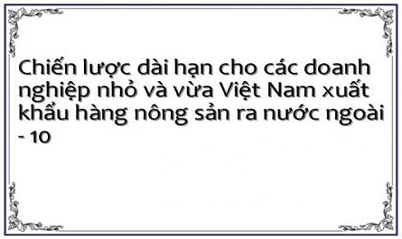 Một Số Giải Pháp Xây Dựng Chiến Lược Dài Hạn Cho Các Doanh Nghiệp Nhỏ Và Vừa Của Việt Nam