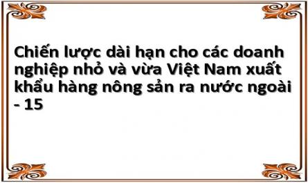 Chiến lược dài hạn cho các doanh nghiệp nhỏ và vừa Việt Nam xuất khẩu hàng nông sản ra nước ngoài - 15