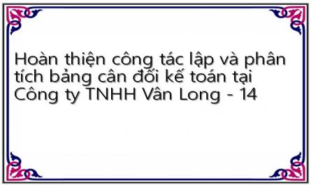Hoàn thiện công tác lập và phân tích bảng cân đối kế toán tại Công ty TNHH Vân Long - 14