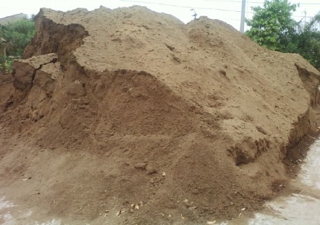 Mùn cưa bồ đề Bông phế loại Ủ mùn cưa Ủ bông Đóng bịch nấm Giống nấm 1