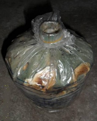 Bịch nhiễm mốc 10