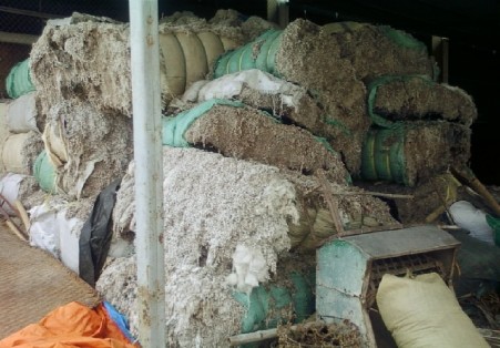 Bông phế loại Ủ mùn cưa Ủ bông Đóng bịch nấm Giống nấm cấp II Giai đoạn 2