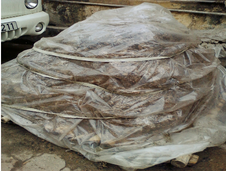 Ủ bông Đóng bịch nấm Giống nấm cấp II Giai đoạn ươm sợi Quả thể non Quả 4