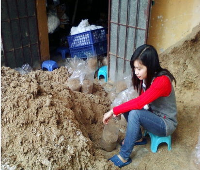 Đóng bịch nấm Giống nấm cấp II Giai đoạn ươm sợi Quả thể non Quả thể 5