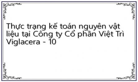 Thực trạng kế toán nguyên vật liệu tại Công ty Cổ phần Việt Trì Viglacera - 10