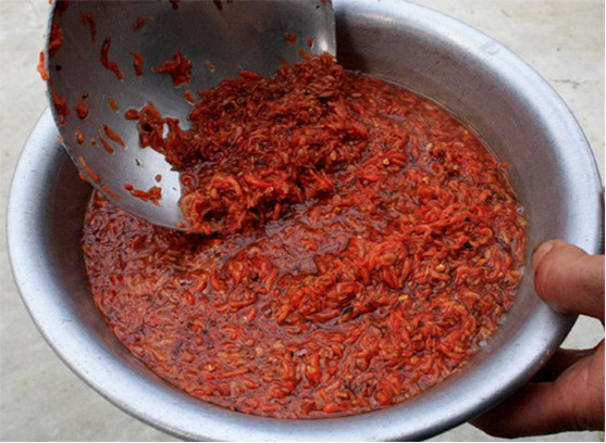 Hình 4 4 Sản phẩm mắm tép Hà Yên Về chất lượng mắm Trong công tác bảo 1