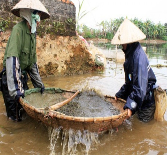 Hình 4 2 Hộ dân Đinh Thị Son và Trần Thị Tươi đang đãi tép Hình 4 3 Chủ hộ 2