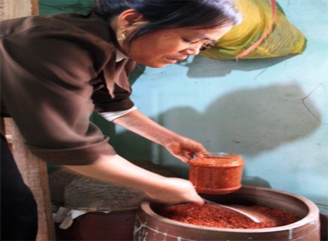 Hình 4 3 Chủ hộ Hà Thị Liên đang chế biến mắm tép Sản phẩm chính trong 3